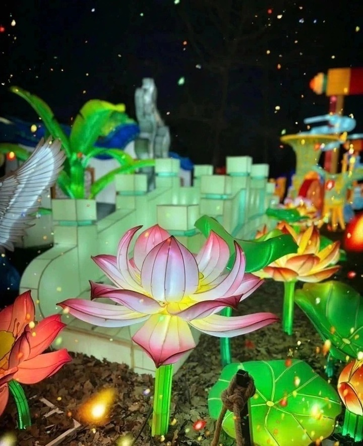 What's on February 17-23, 2025 - 4 What's on February 17-23, 2025 - 4