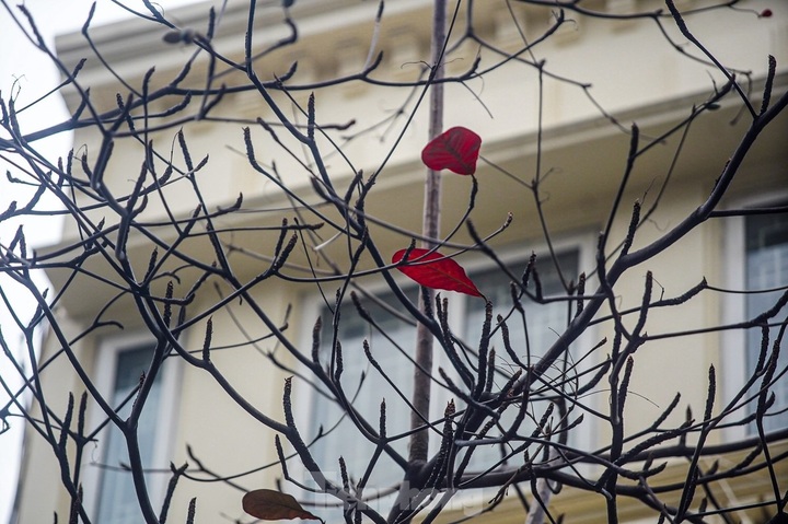 A dreamy Hanoi in drizzling rain and mist - 8 A dreamy Hanoi in drizzling rain and mist - 8