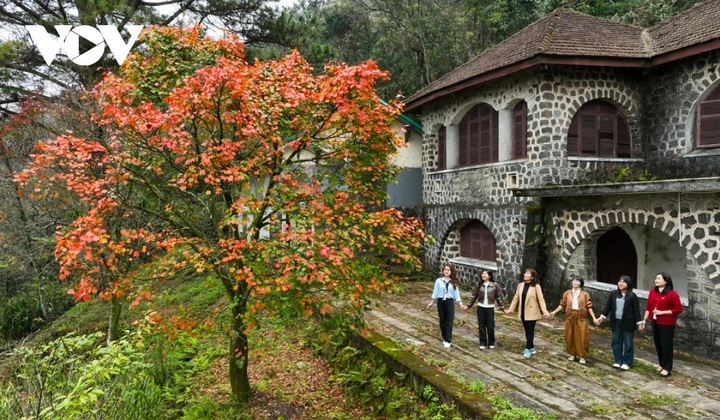 Bach Ma Mountain's seasonal beauty - 9 Bach Ma Mountain's seasonal beauty - 9