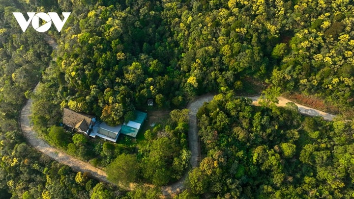 Bach Ma Mountain's seasonal beauty - 3 Bach Ma Mountain's seasonal beauty - 3