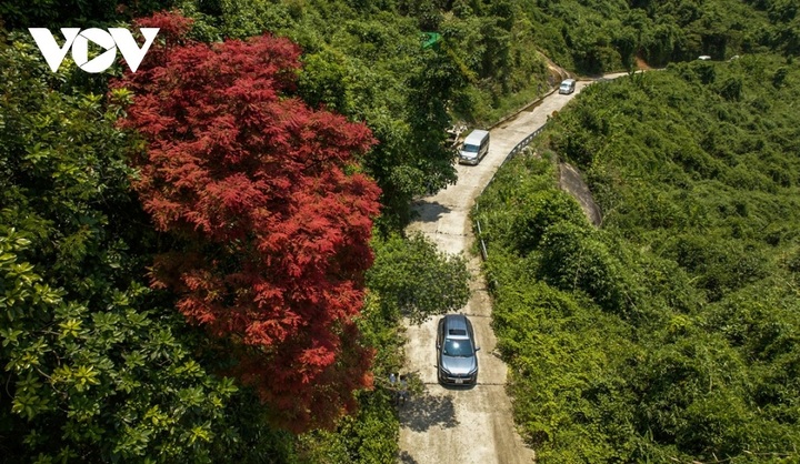 Bach Ma Mountain's seasonal beauty - 4 Bach Ma Mountain's seasonal beauty - 4