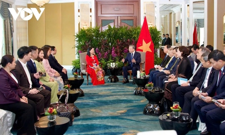 Party leader To Lam supports Vietnam – Singapore business cooperation - 1 Party leader To Lam supports Vietnam – Singapore business cooperation - 1