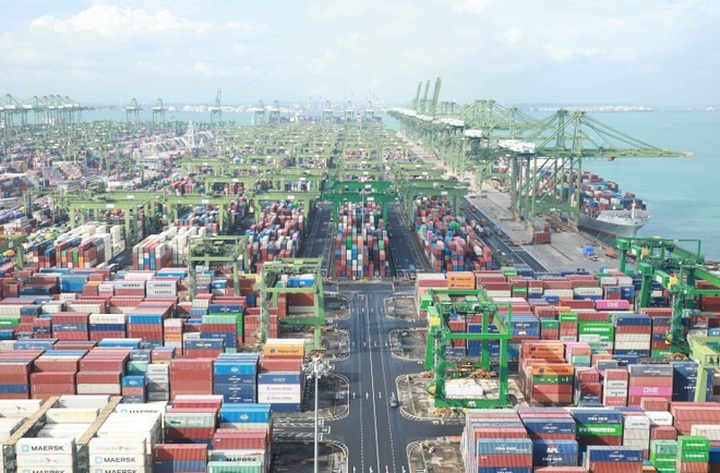 Party chief visits Singapore’s Pasir Panjang Container Terminal - 2