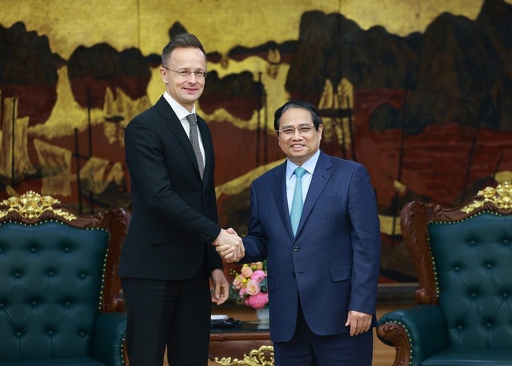 Vietnam treasures comprehensive partnership with Hungary: PM - 2 Vietnam treasures comprehensive partnership with Hungary: PM - 2