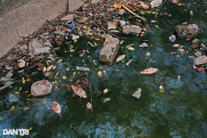 Worship items and waste pollute Hanoi lake - 4 Worship items and waste pollute Hanoi lake - 4
