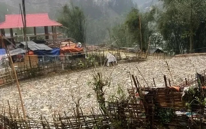 Hailstorms hit Son La and Dien Bien - 1 Hailstorms hit Son La and Dien Bien - 1