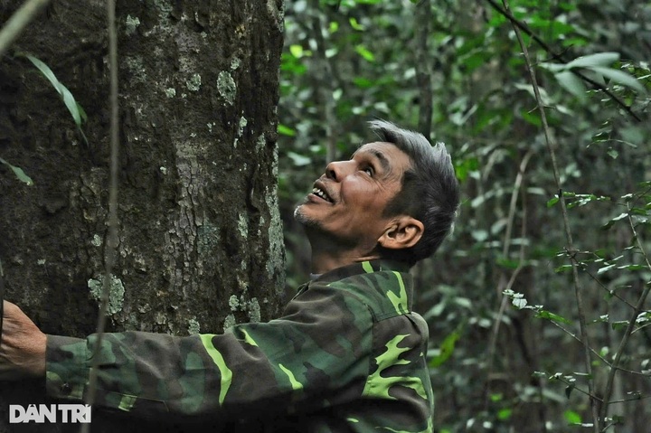 Quang Tri man has tree named after him following years protecting forest - 2