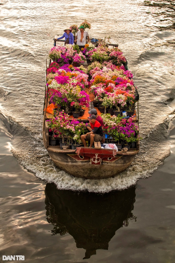 Nine works win awards at the Bringing Spring Home 2025 photo contest - 3