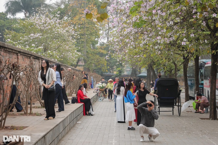 Hanoi’s flower season attracts tourists for stunning check-ins - 1