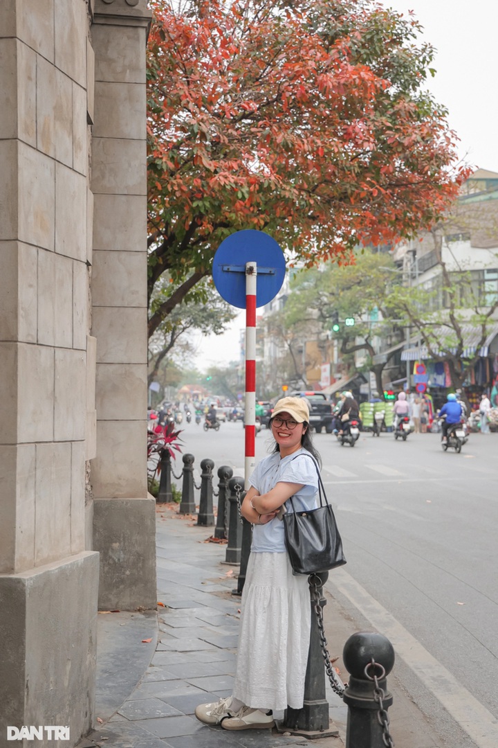 Hanoi’s flower season attracts tourists for stunning check-ins - 10