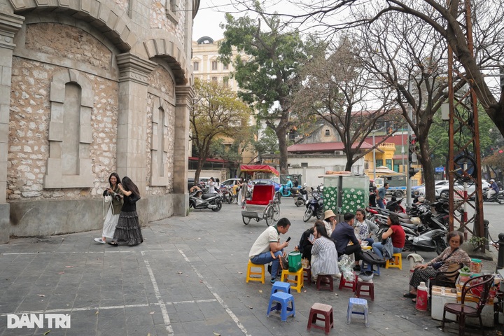 Hanoi’s flower season attracts tourists for stunning check-ins - 13