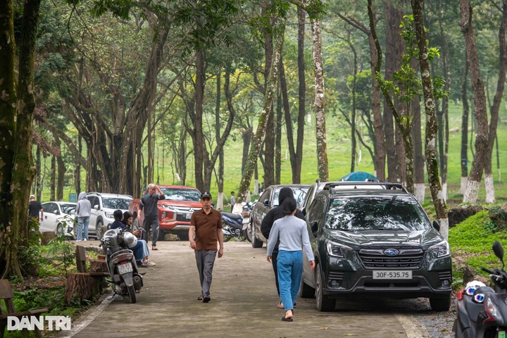 Hanoi national park draws crowds on Hung Kings’ Commemoration break - 1 Hanoi national park draws crowds on Hung Kings’ Commemoration break - 1