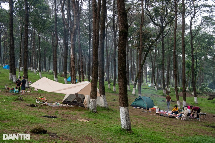 Hanoi national park draws crowds on Hung Kings’ Commemoration break - 2 Hanoi national park draws crowds on Hung Kings’ Commemoration break - 2