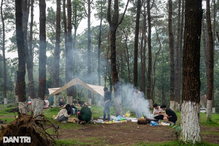 Hanoi national park draws crowds on Hung Kings’ Commemoration break - 9 Hanoi national park draws crowds on Hung Kings’ Commemoration break - 9