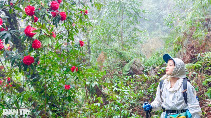 Hunting sunrise at Vietnam's 9th-highest mountain - 7 Hunting sunrise at Vietnam's 9th-highest mountain - 7