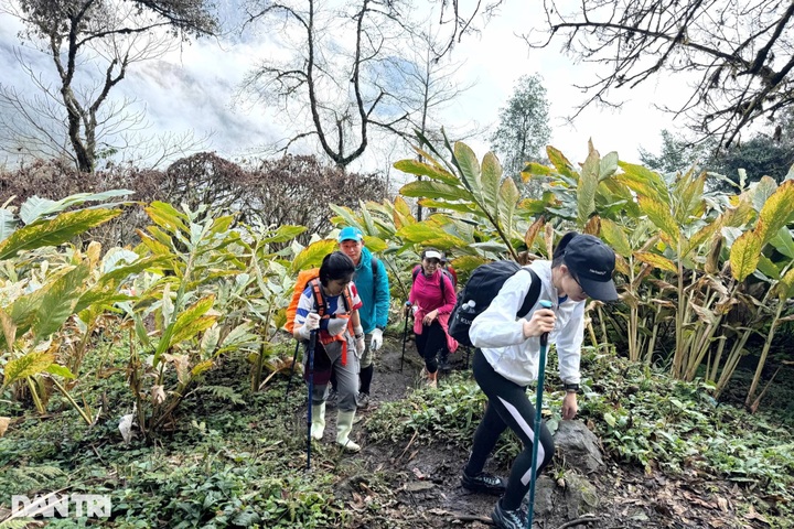 Hunting sunrise at Vietnam's 9th-highest mountain - 5 Hunting sunrise at Vietnam's 9th-highest mountain - 5