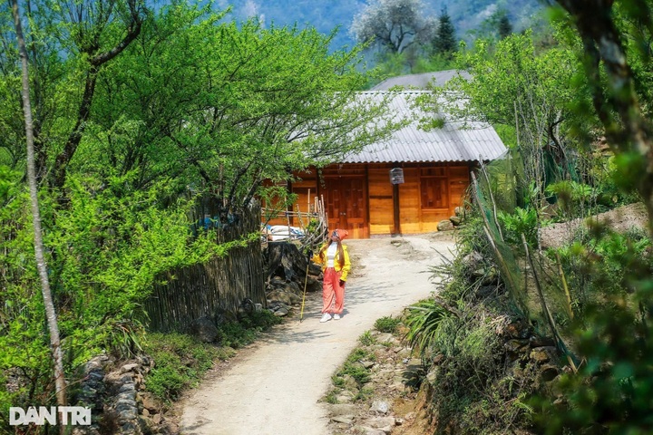 Hunting sunrise at Vietnam's 9th-highest mountain - 2 Hunting sunrise at Vietnam's 9th-highest mountain - 2
