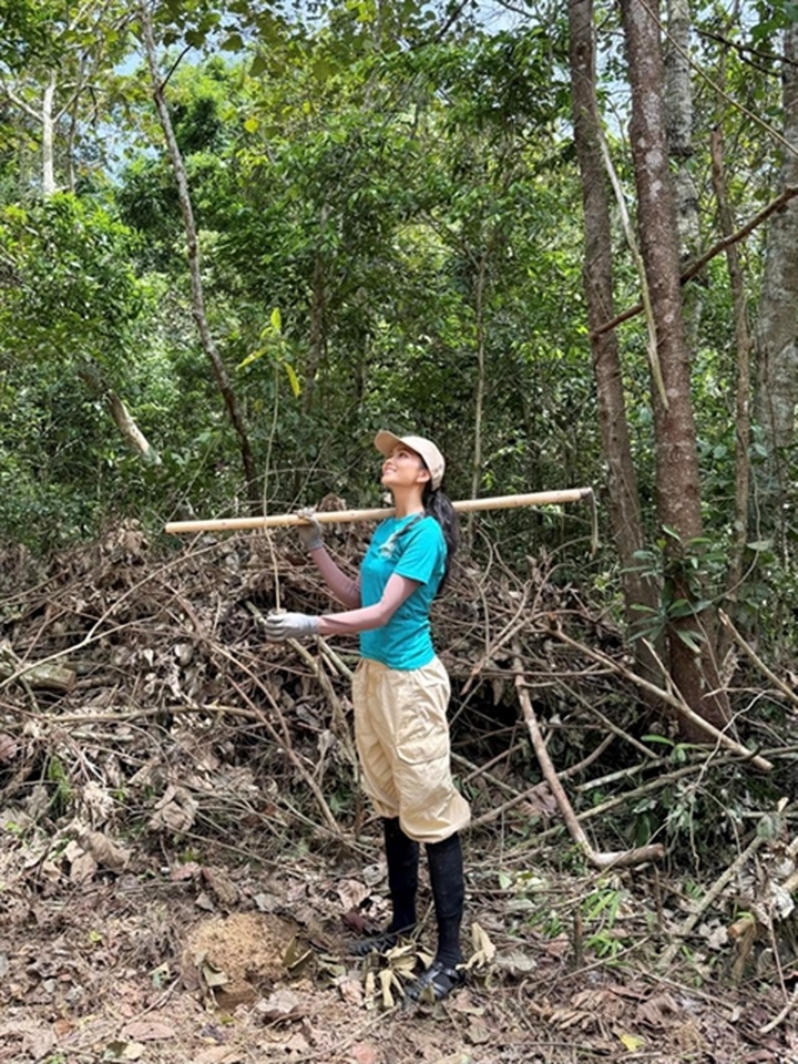 Miss Universe Vietnam plants more than 700 trees in national park - 2