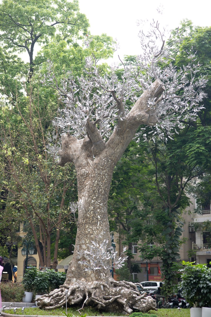 Hanoi unveils monumental art installation honouring fallen tree - 1 Hanoi unveils monumental art installation honouring fallen tree - 1