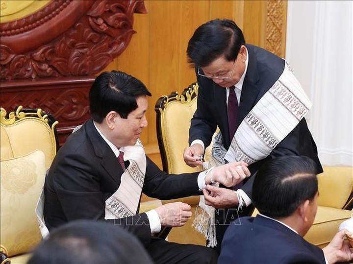 Vietnamese State President holds talks with top Lao leader - 2