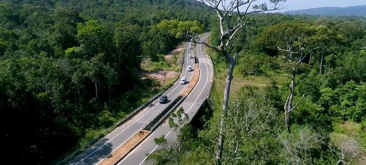 83 hectares of forest in Phu Quoc to be converted for tourism development - 1 83 hectares of forest in Phu Quoc to be converted for tourism development - 1