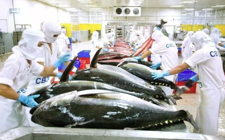 EC postpones Vietnam’s seafood inspection until year end - 1