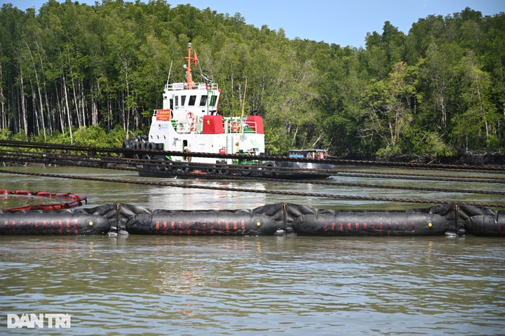 Can Gio oil spill affects many fish cages - 9