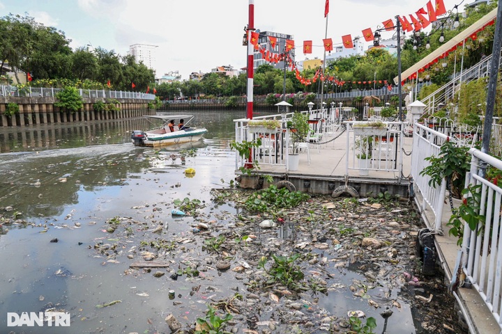 Hundreds of kilogrammes of dead fish collected from HCM City canal - 2 Hundreds of kilogrammes of dead fish collected from HCM City canal - 2