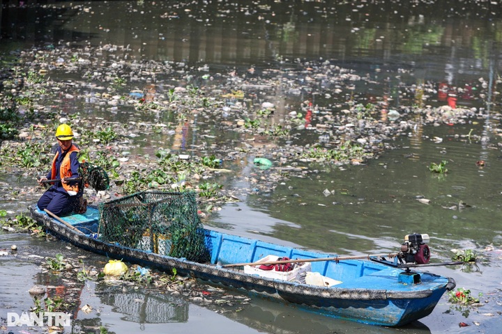 Hundreds of kilogrammes of dead fish collected from HCM City canal - 1 Hundreds of kilogrammes of dead fish collected from HCM City canal - 1