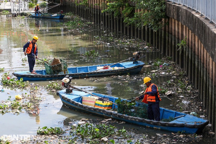 Hundreds of kilogrammes of dead fish collected from HCM City canal - 5 Hundreds of kilogrammes of dead fish collected from HCM City canal - 5