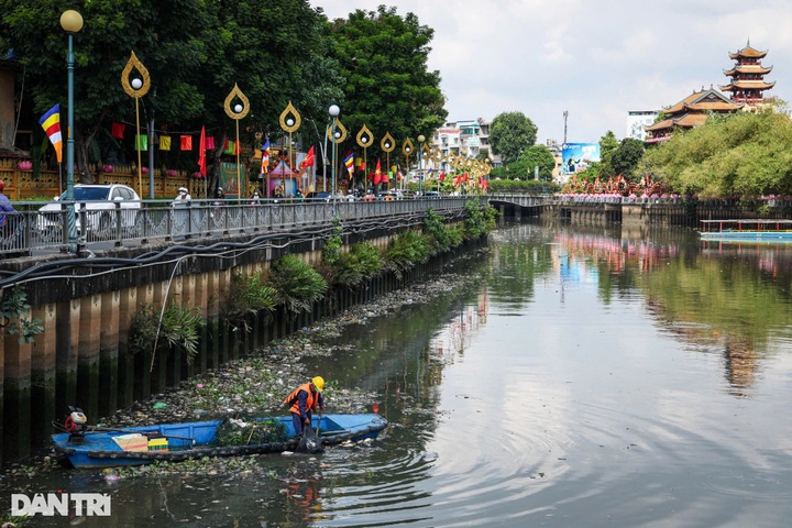 Hundreds of kilogrammes of dead fish collected from HCM City canal - 7 Hundreds of kilogrammes of dead fish collected from HCM City canal - 7