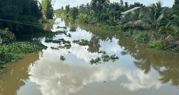 Crocodile spotted in Long An canal - 1 Crocodile spotted in Long An canal - 1