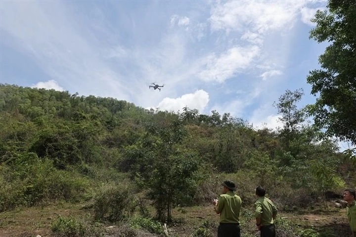 Ba Ria – Vung Tau enhances forest protection with technology - 1 Ba Ria – Vung Tau enhances forest protection with technology - 1