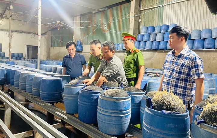 Two toxic bean sprout producers exposed in Lao Cai - 1