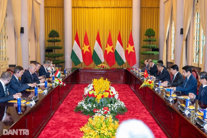 Hungarian president welcomed to Vietnam - 7
