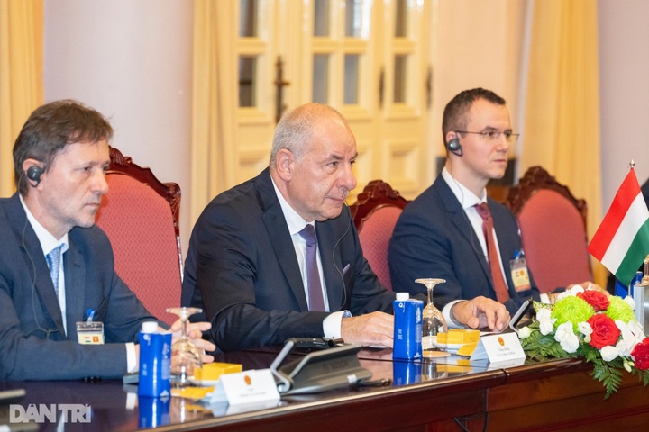 Hungarian president welcomed to Vietnam - 9