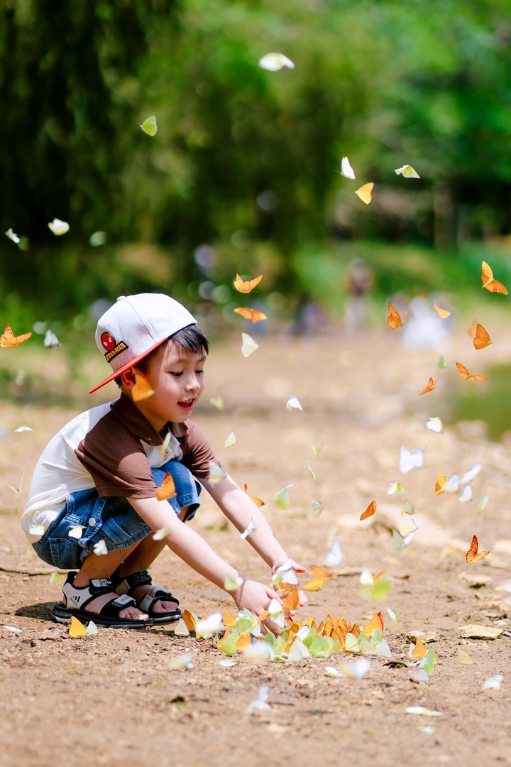 Cuc Phuong National Park glows in butterfly season - 2 Cuc Phuong National Park glows in butterfly season - 2