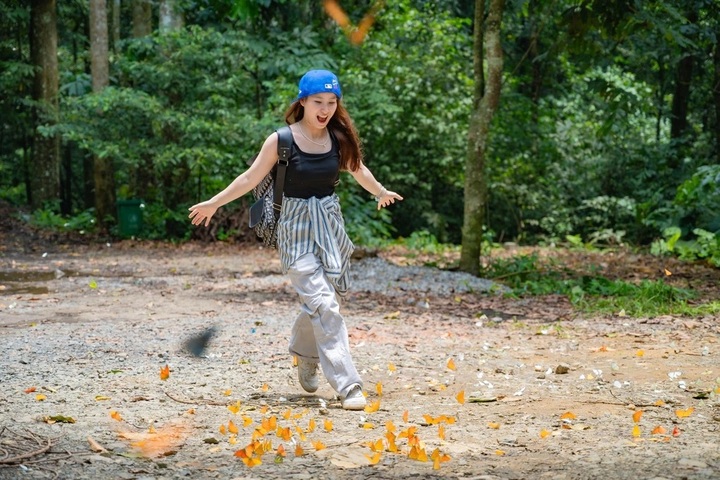 Cuc Phuong National Park glows in butterfly season - 3 Cuc Phuong National Park glows in butterfly season - 3