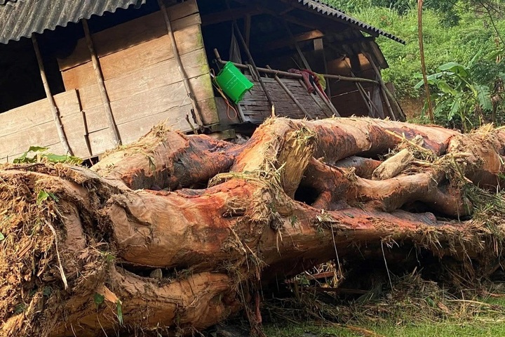 Devastation after flash flood ravages remote village in Nghe An - 2 Devastation after flash flood ravages remote village in Nghe An - 2
