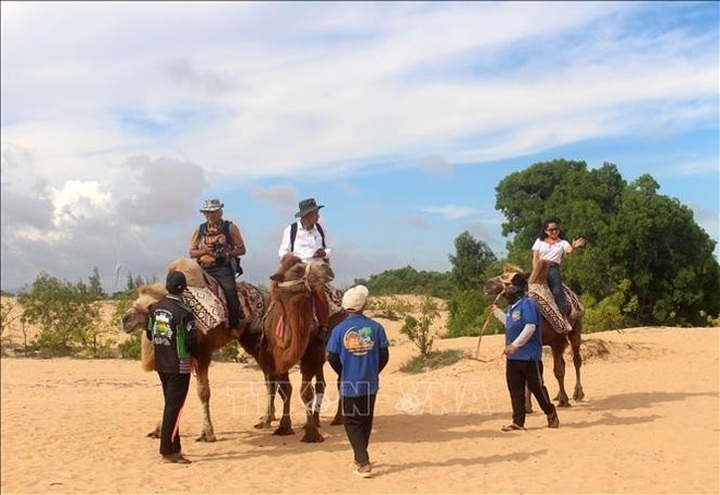 Awakening Binh Thuan's tourism potential through cinema - 2 Awakening Binh Thuan's tourism potential through cinema - 2