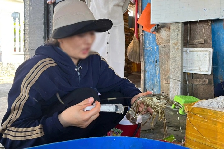 Jelly used to fake lobster freshness at Phu Yen seafood facility - 1 Jelly used to fake lobster freshness at Phu Yen seafood facility - 1