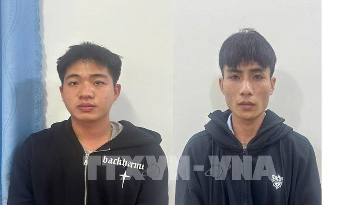 Theft ring targeting Phu Quoc tourists busted - 1