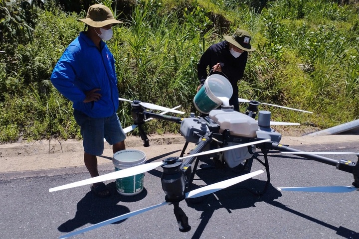 Drones deployed to combat locust outbreak in central Vietnam - 1