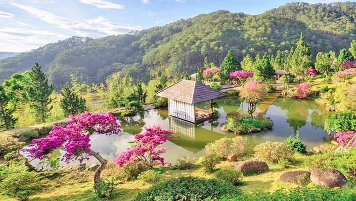 Agoda lists Da Lat among Asia's top wellness escapes - 1 Agoda lists Da Lat among Asia's top wellness escapes - 1