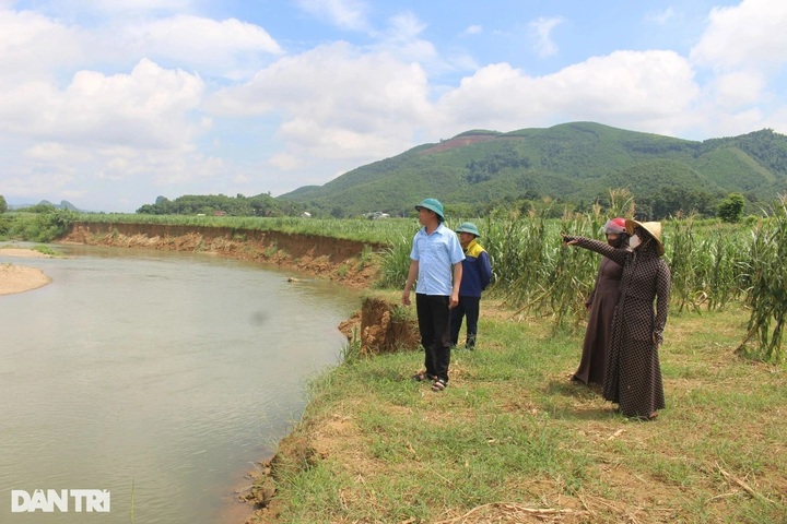 Thanh Hoa residents fear losing farmland to riverbank erosion - 1