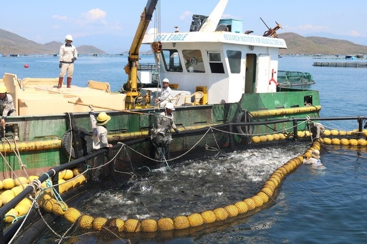Vietnam pivots to green aquaculture to draw global seafood buyers - 1
