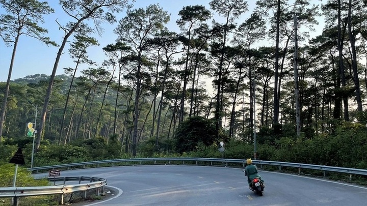 Three men detained over sexual assault of two women at Tam Dao - 1 Three men detained over sexual assault of two women at Tam Dao - 1