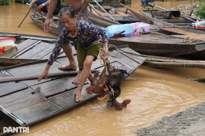Nghe An brutally hit by Typhoon Wipha - 5 Nghe An brutally hit by Typhoon Wipha - 5