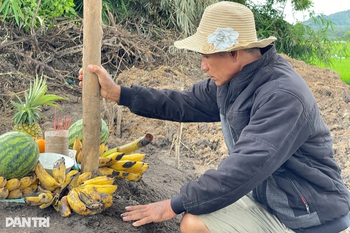 Dak Lak family mourns death of elephant after tragic forest accident - 3