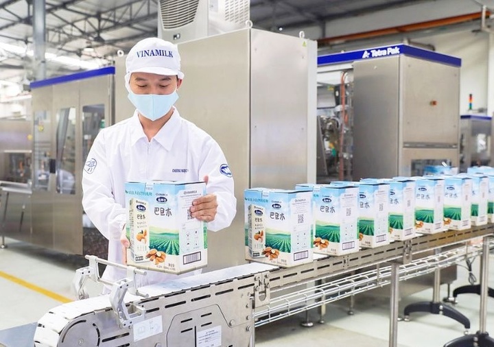 Private firms power Vietnam’s global brand growth - 1